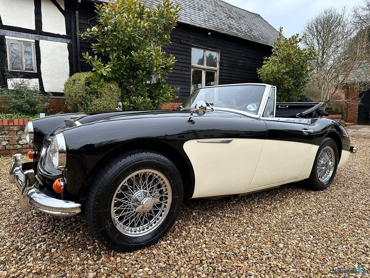 1964' Austin-Healey 3000 photo #6