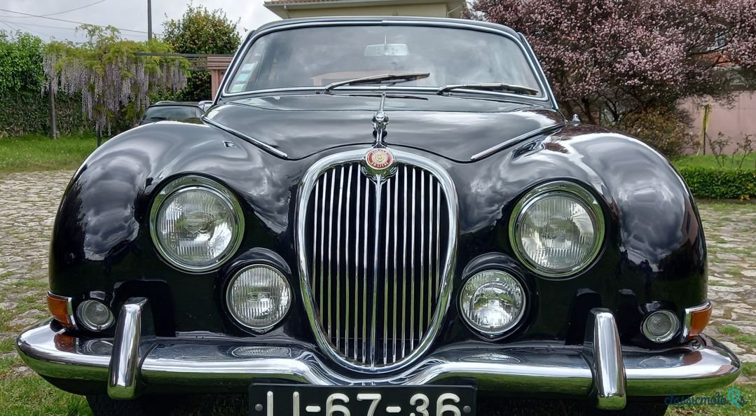 1964' Jaguar S-TYPE photo #3