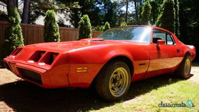 1979' Pontiac Firebird photo #4