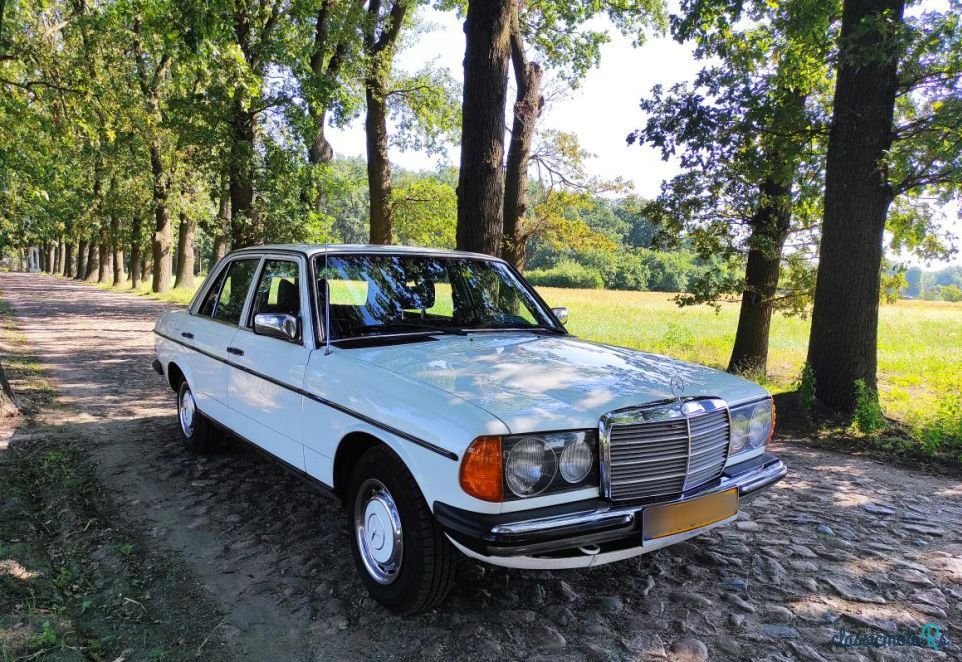1979' Mercedes-Benz W123 photo #1
