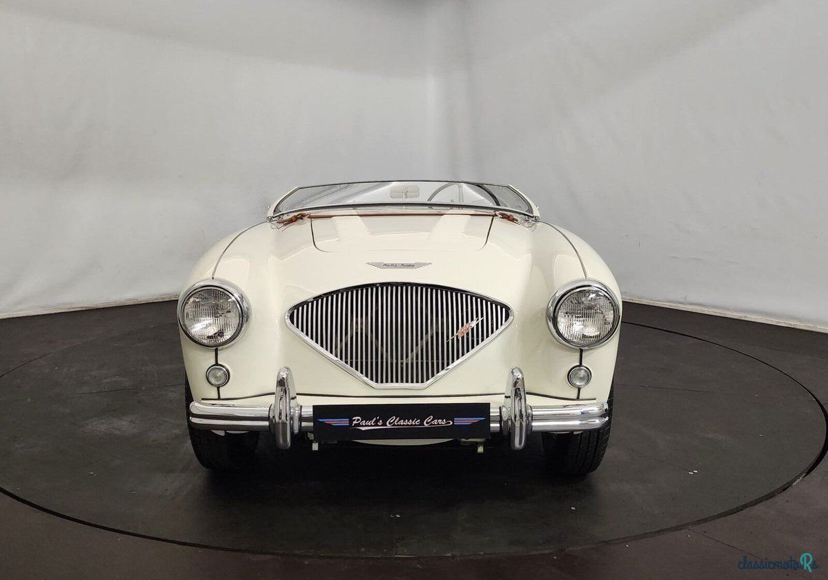 1956' Austin-Healey 100/4 photo #6