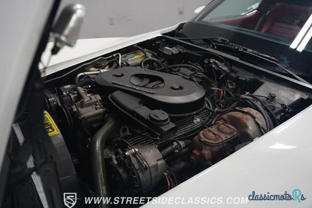 1982' Chevrolet Corvette photo #3