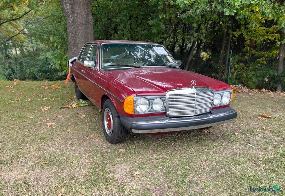 1977' Mercedes-Benz W123 photo #3