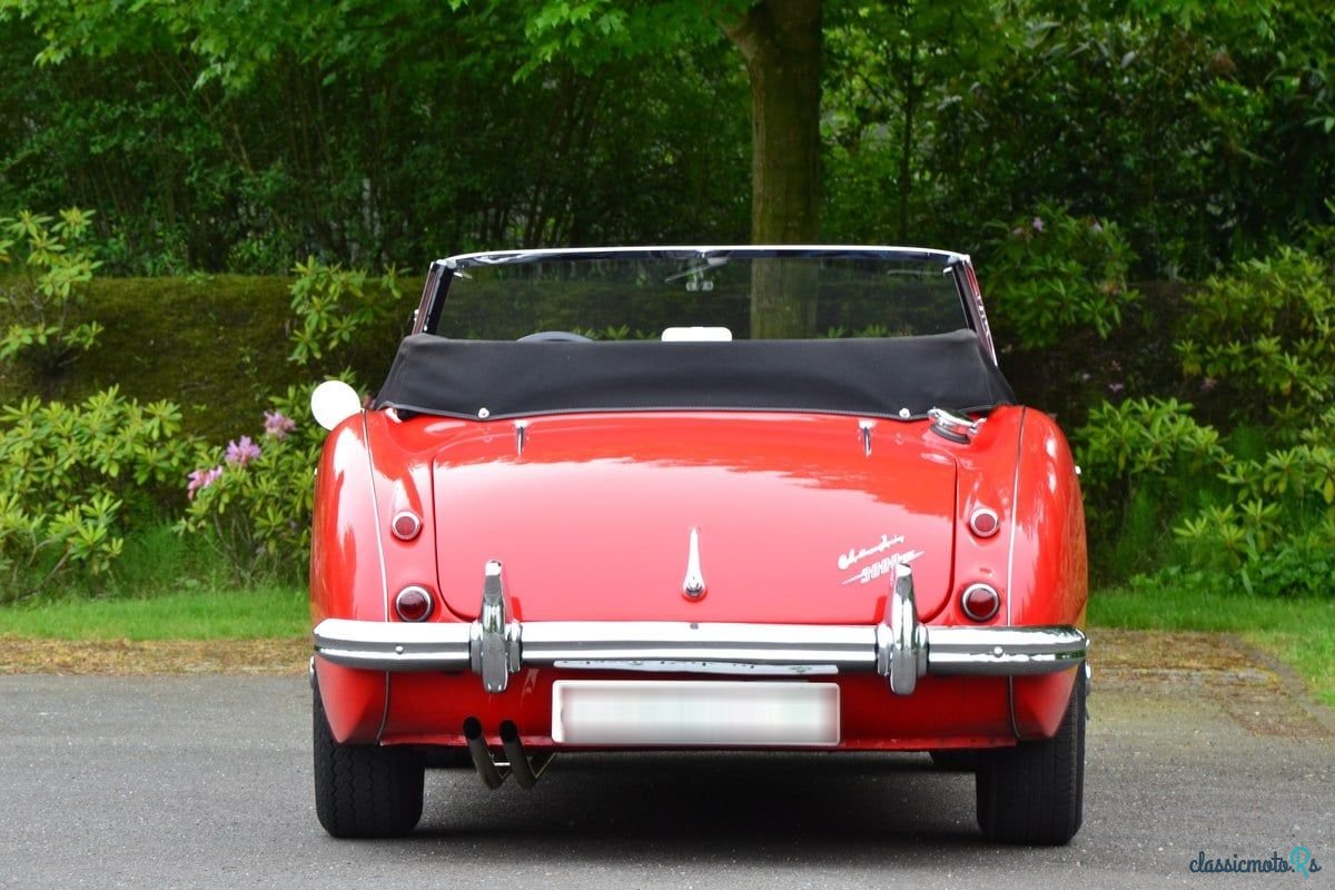 1962' Austin-Healey 3000 photo #3