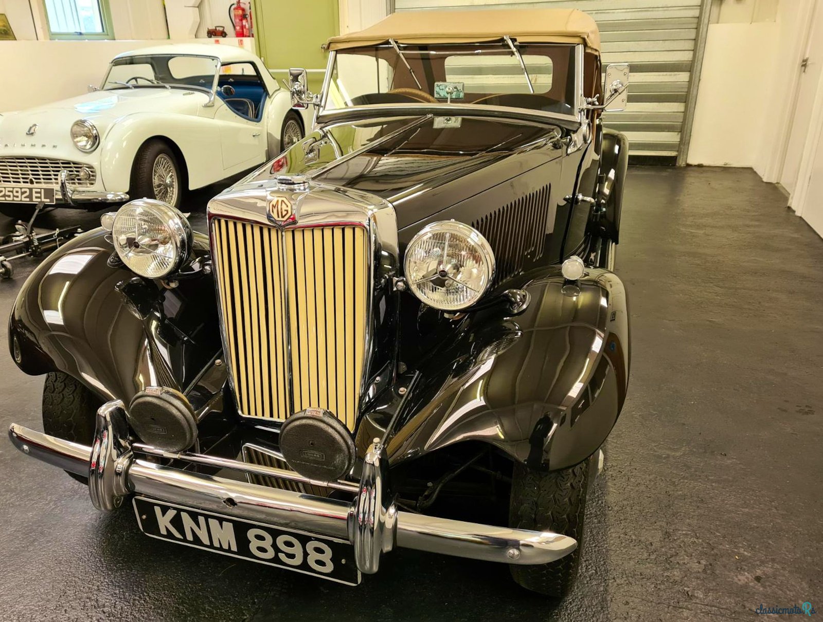 1951' MG Td photo #6