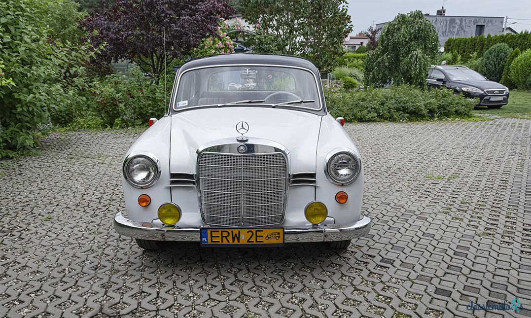 1959' Mercedes-Benz photo #2