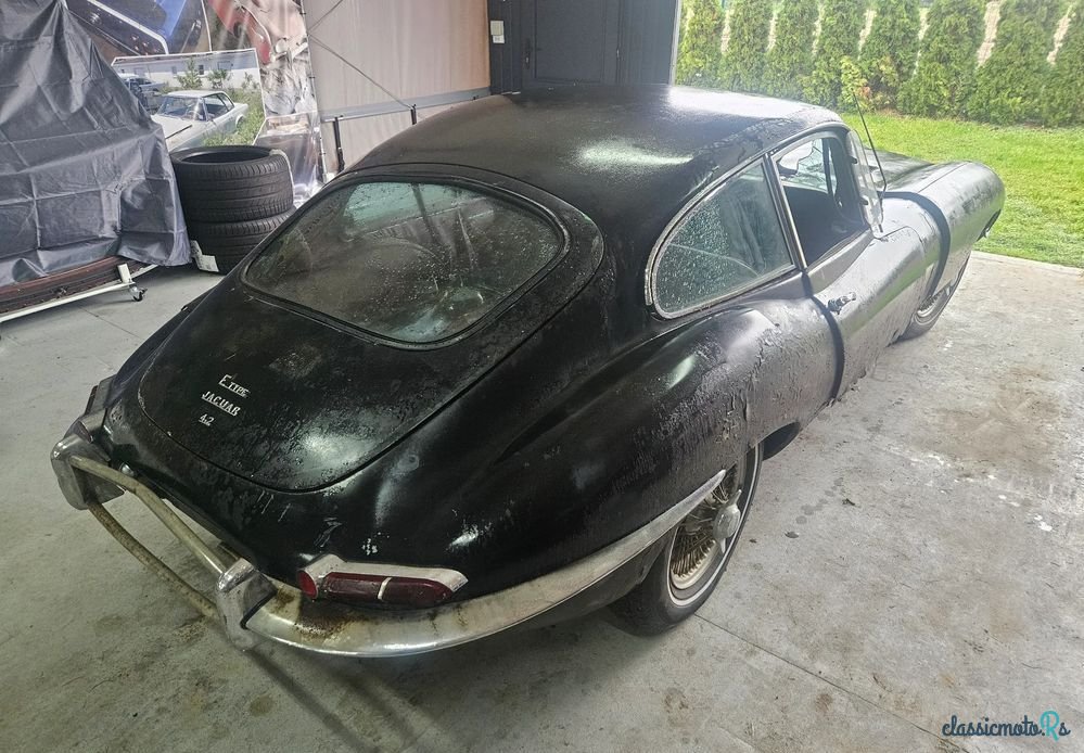 1965' Jaguar E-Type photo #4