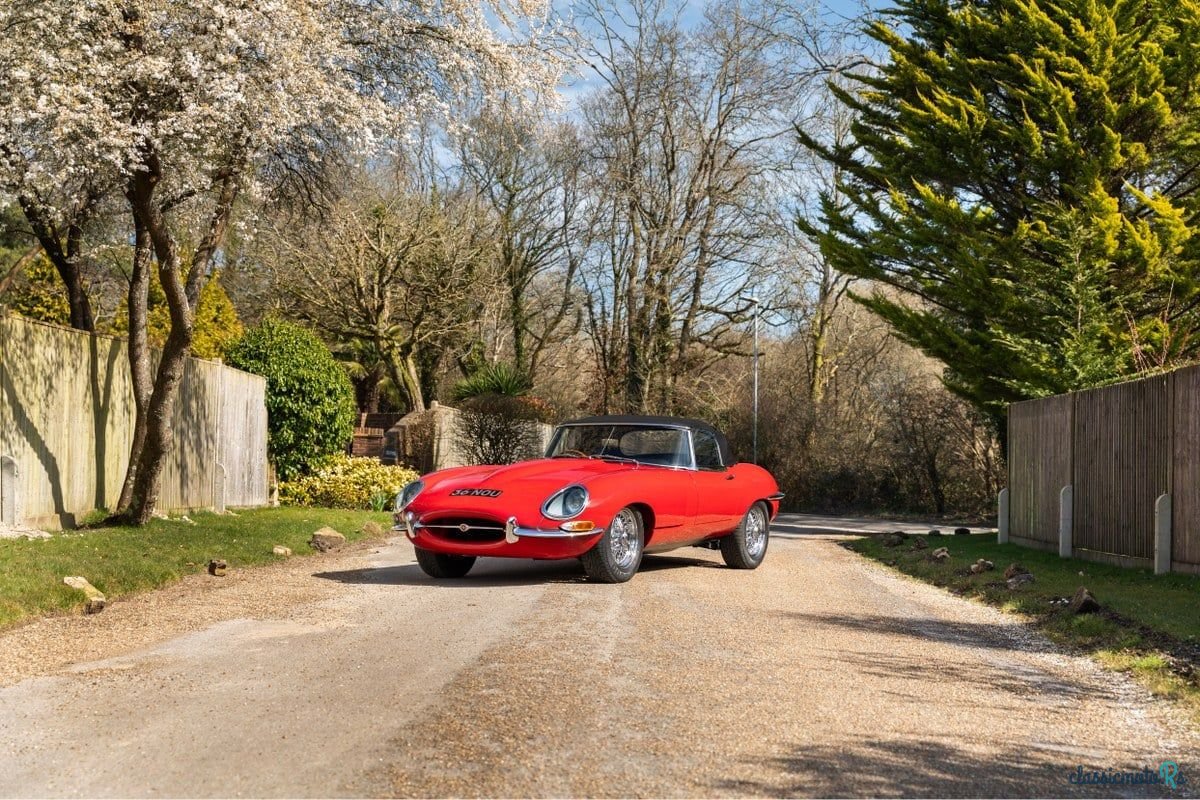 1962' Jaguar E-Type photo #6