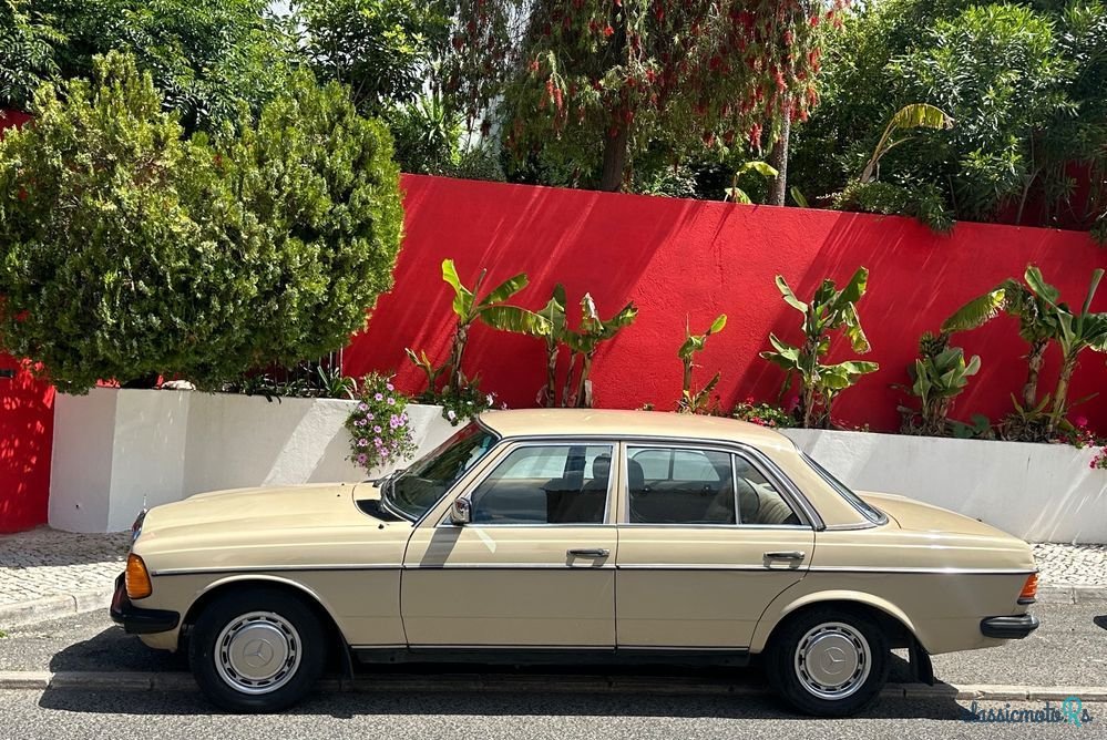 1981' Mercedes-Benz W123 photo #6