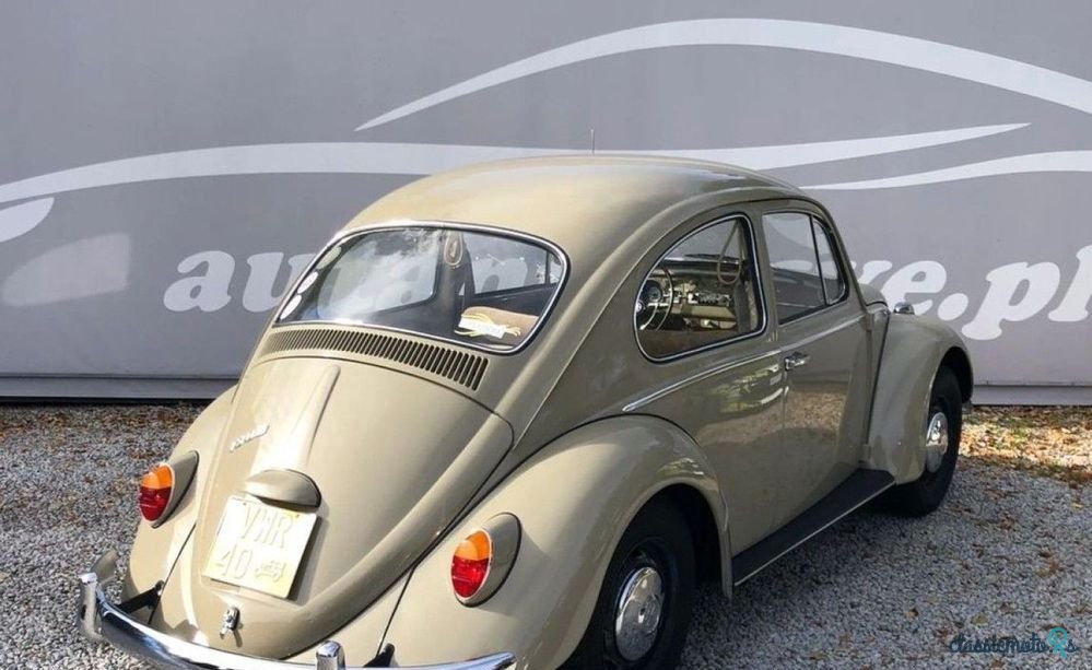 1966' Volkswagen Garbus photo #3