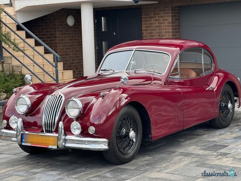 1955' Jaguar XK photo #1