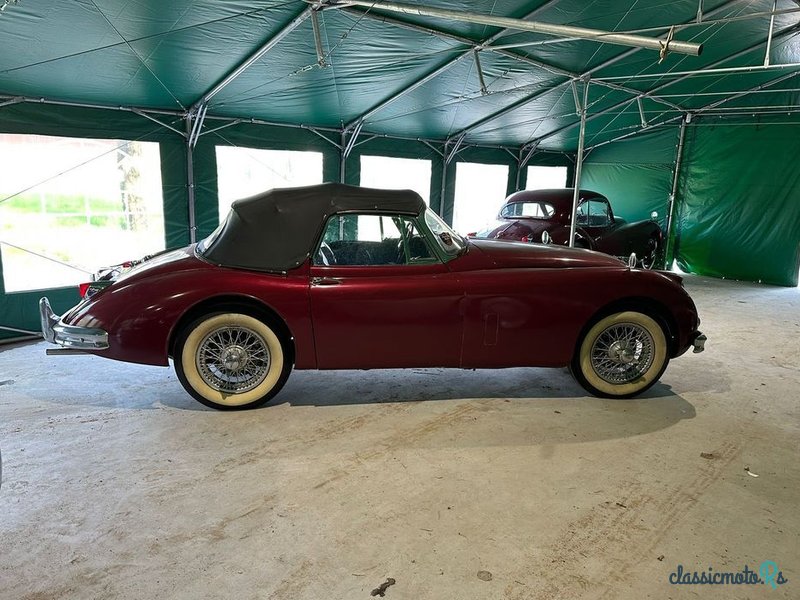 1958' Jaguar XK photo #5