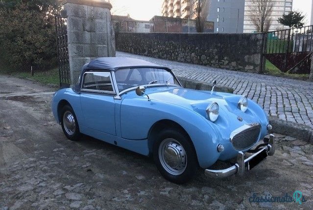 1959' Austin-Healey Sprite photo #3