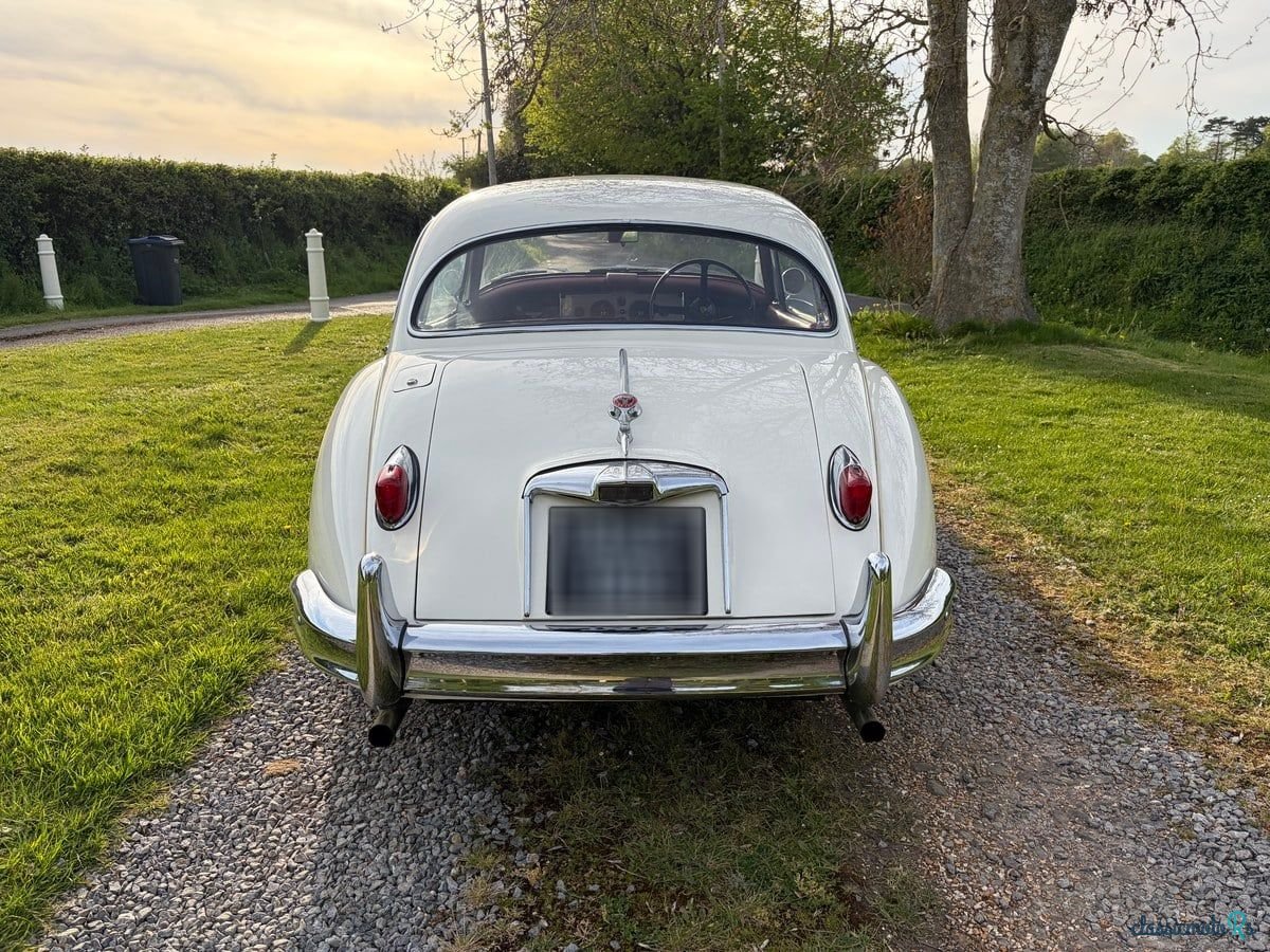 1959' Jaguar Xk150 photo #5