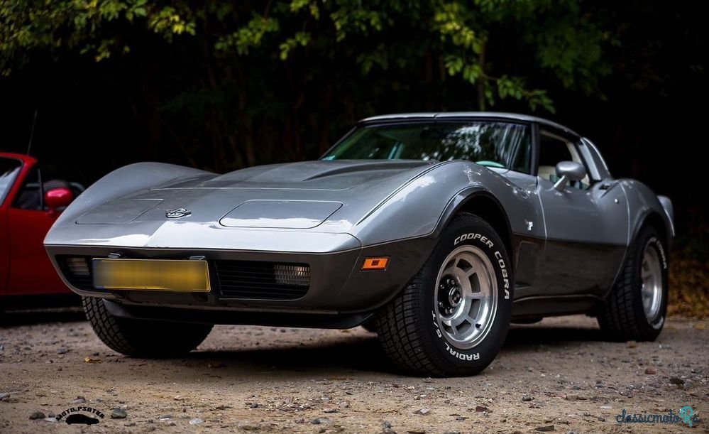 1978' Chevrolet Corvette photo #1