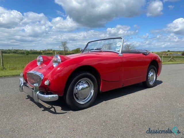1959' Austin-Healey Sprite photo #1