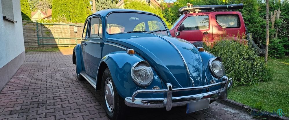 1966' Volkswagen Garbus photo #3