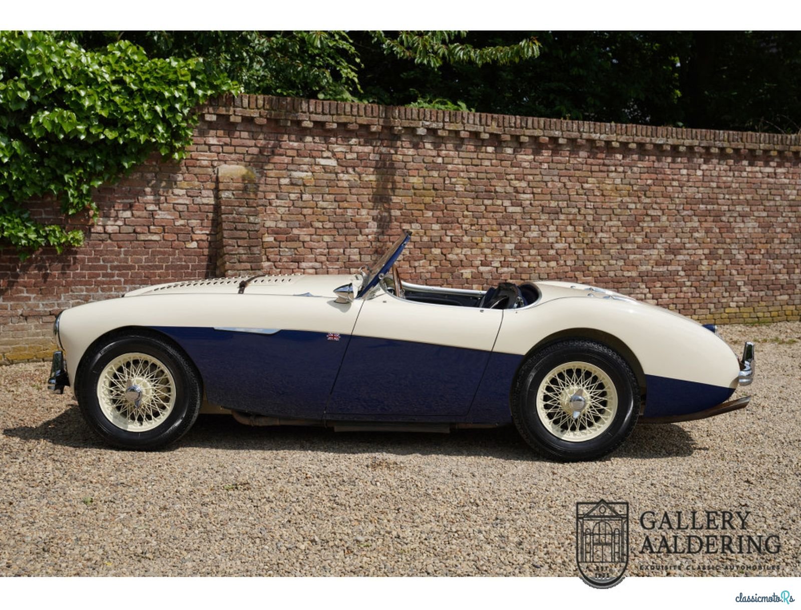 1954' Austin-Healey 100 photo #5