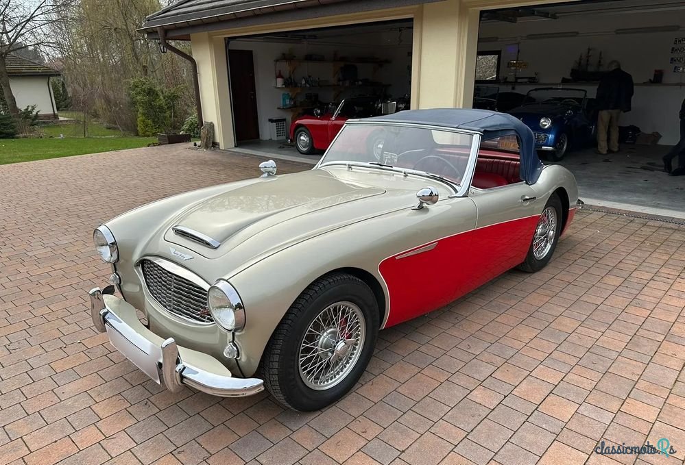 1960' Austin Healey photo #2