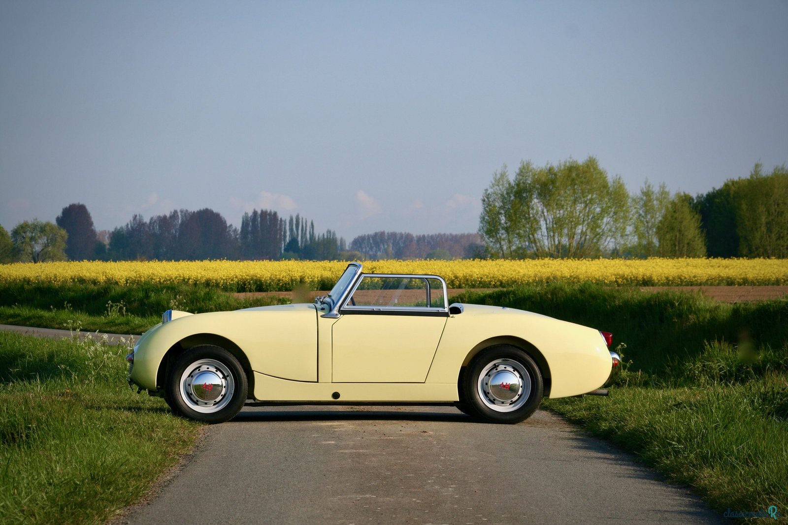 1960' Austin-Healey Frogeye photo #4