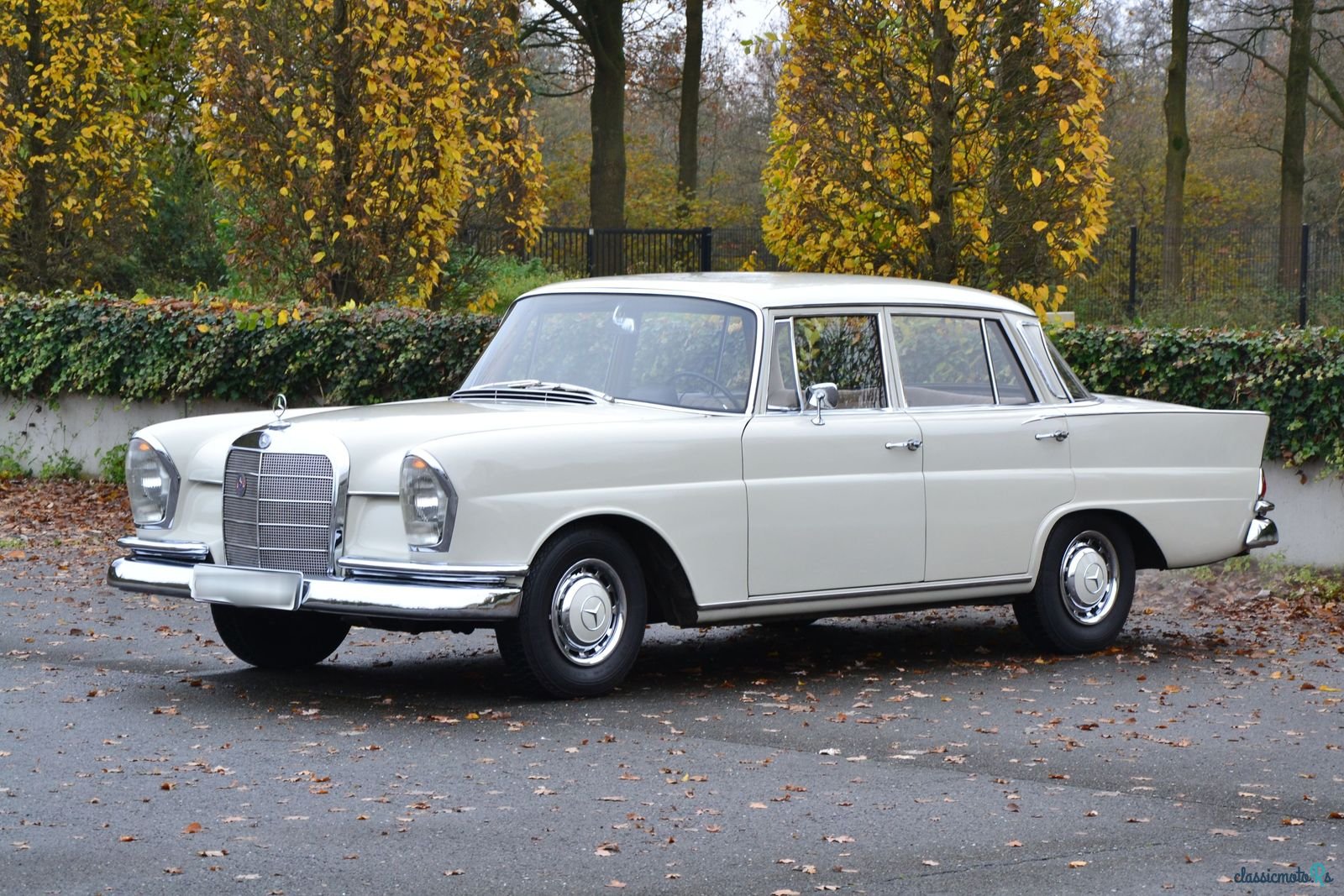 1961' Mercedes-Benz 220 S photo #1