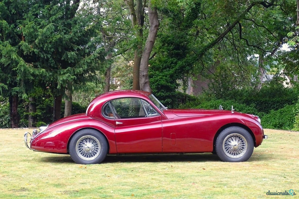 1953' Jaguar XK photo #2
