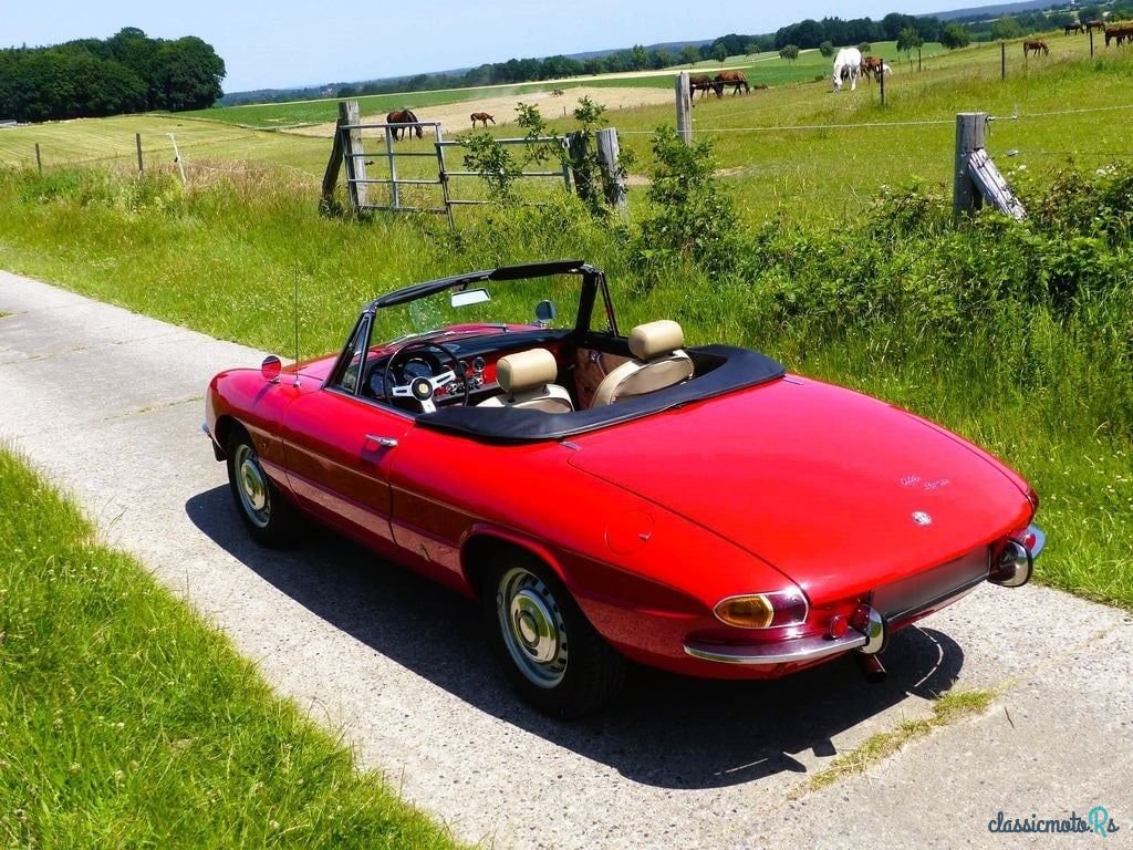 1966' Alfa Romeo Spider (Duetto) photo #5