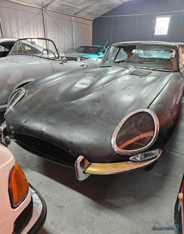 1965' Jaguar E-Type photo #1