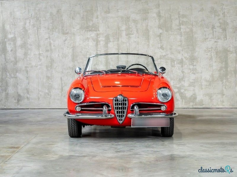 1962' Alfa Romeo Giulia photo #2