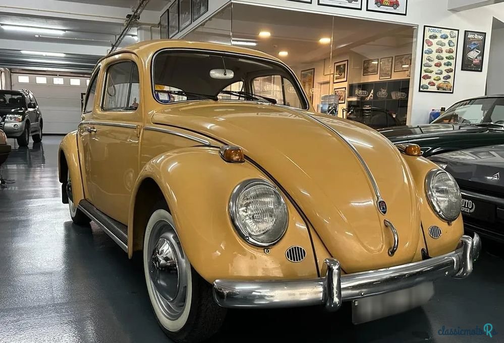 1962' Volkswagen Carocha photo #5