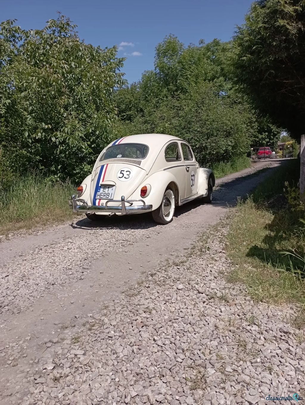 1966' Volkswagen Garbus photo #2