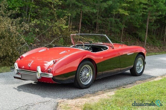 1954' Austin-Healey 100 photo #5