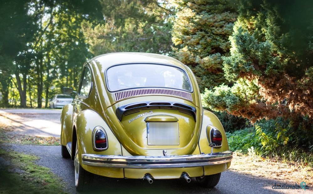 1972' Volkswagen Garbus photo #4