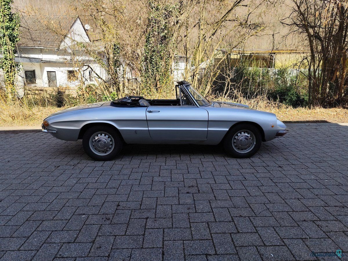 1968' Alfa Romeo Spider Duetto photo #6
