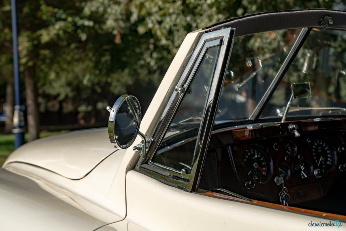1955' Jaguar C-Type photo #3