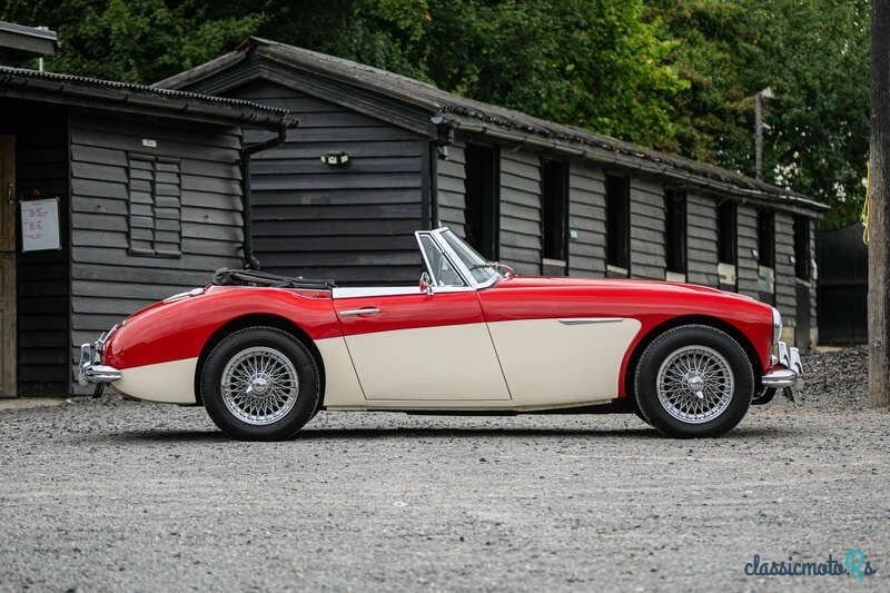 1963' Austin-Healey 3000 photo #5