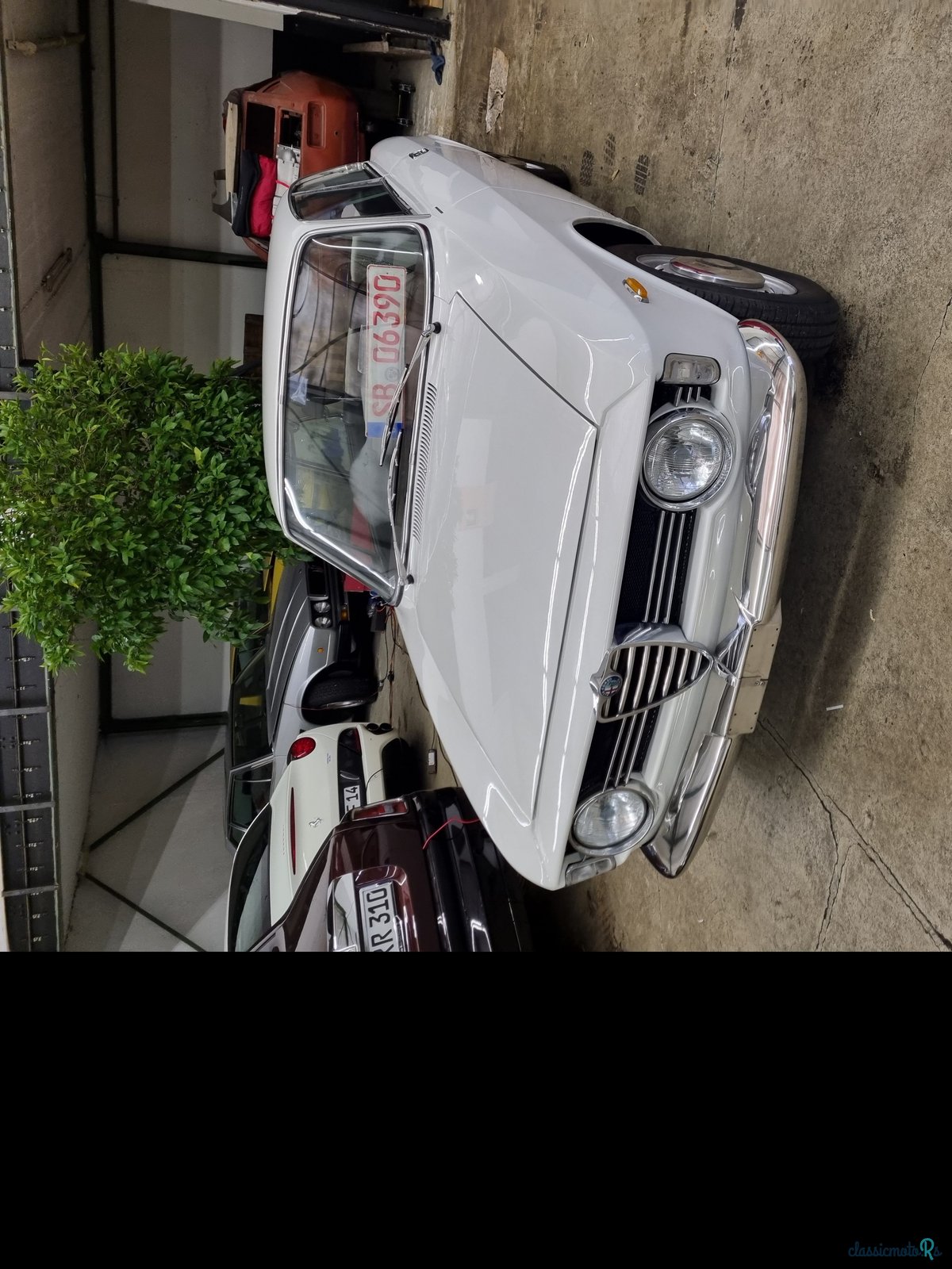 1966' Alfa Romeo Scalino Veloce 1600 photo #1