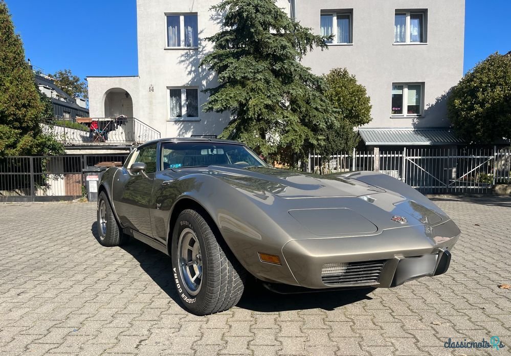 1978' Chevrolet Corvette photo #6