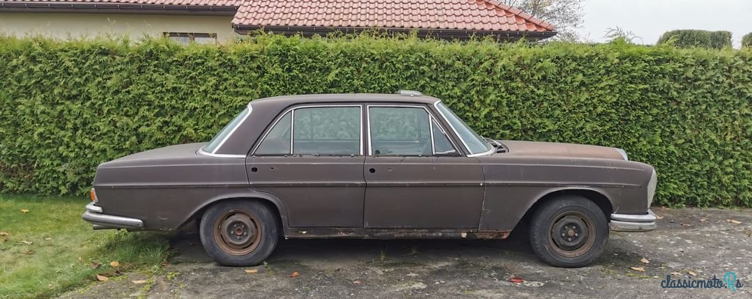 1968' Mercedes-Benz 280 photo #4