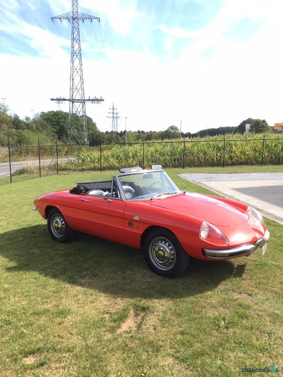1968' Alfa Romeo Spider Duetto photo #1