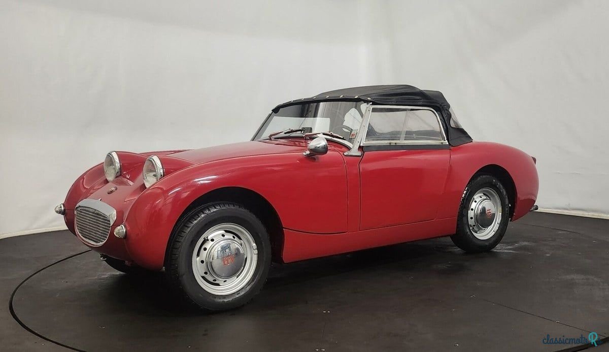 1958' Austin-Healey Sprite photo #2