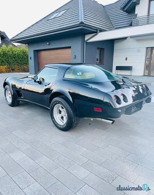 1979' Chevrolet Corvette photo #3