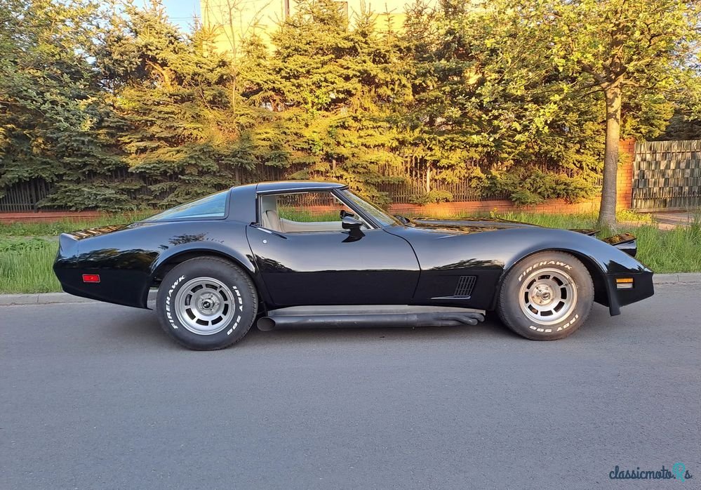 1979' Chevrolet Corvette photo #4