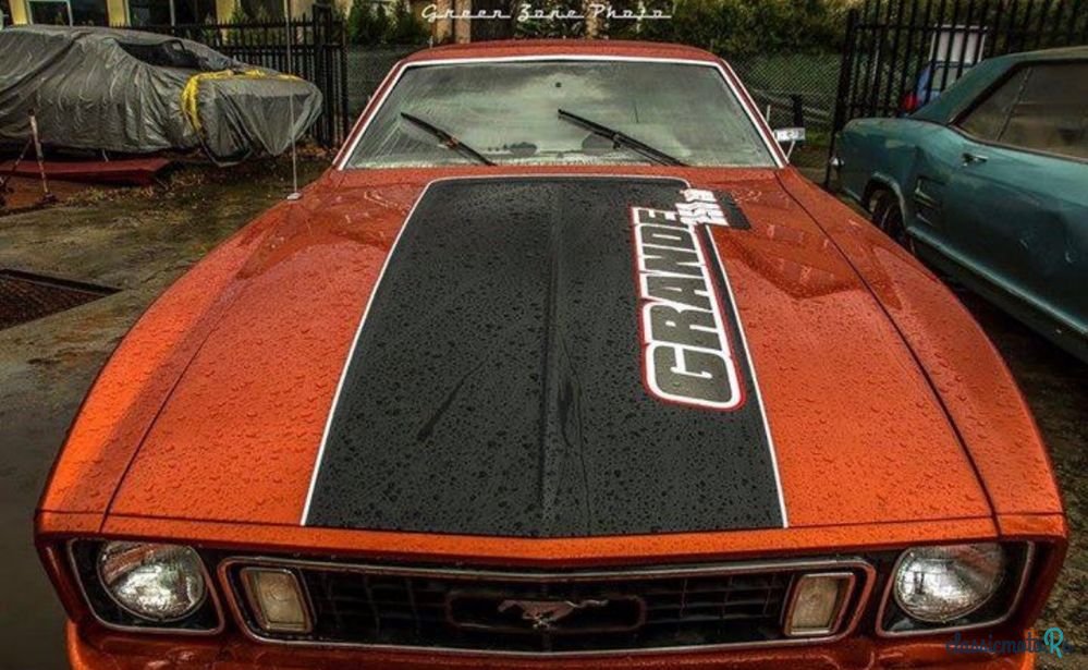1973' Ford Mustang photo #4