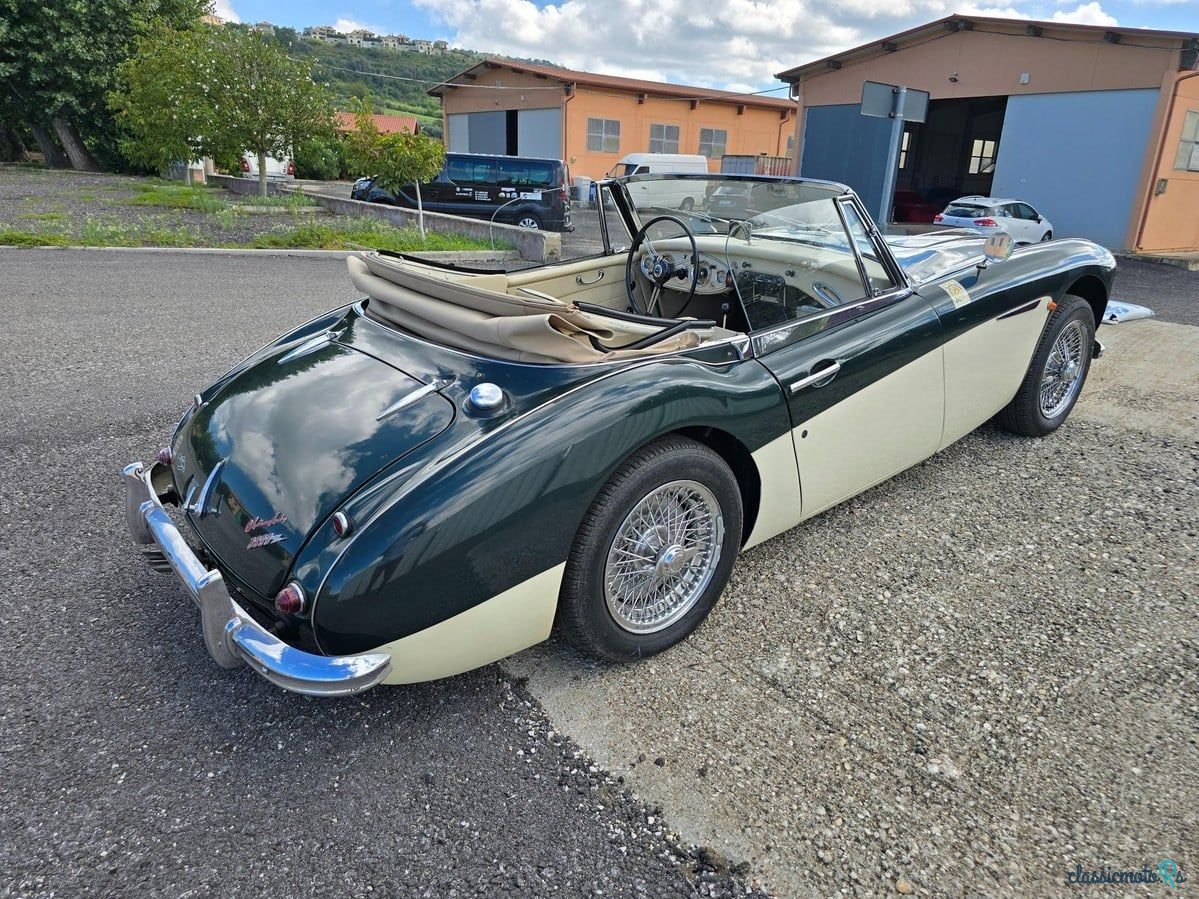 1962' Austin-Healey 3000 photo #5
