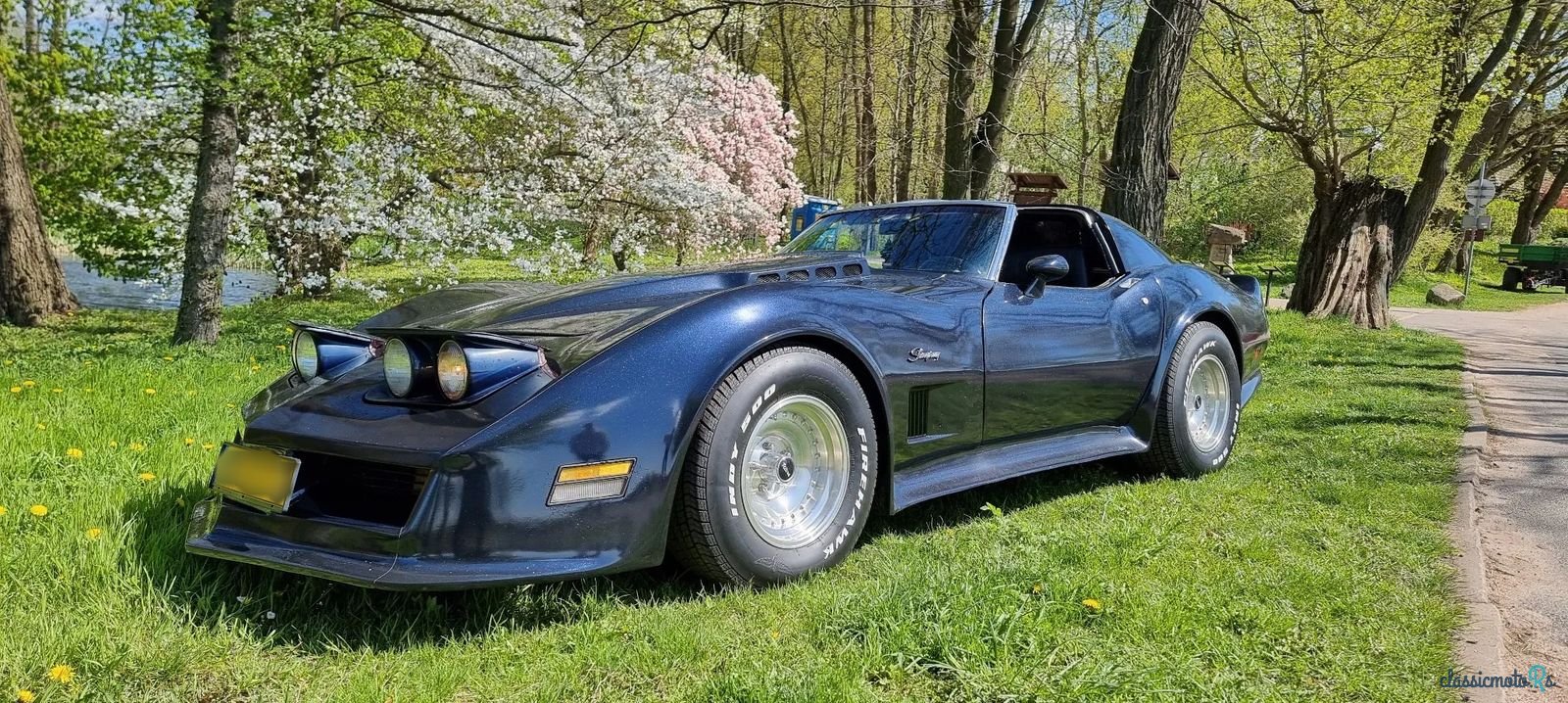 1969' Chevrolet Corvette photo #3