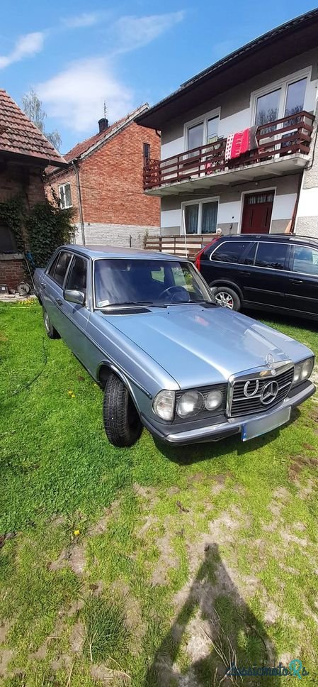 1979' Mercedes-Benz W123 photo #2