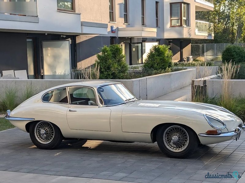 1962' Jaguar E-Type photo #1