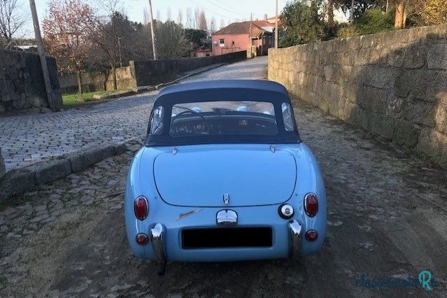 1959' Austin-Healey Sprite photo #6