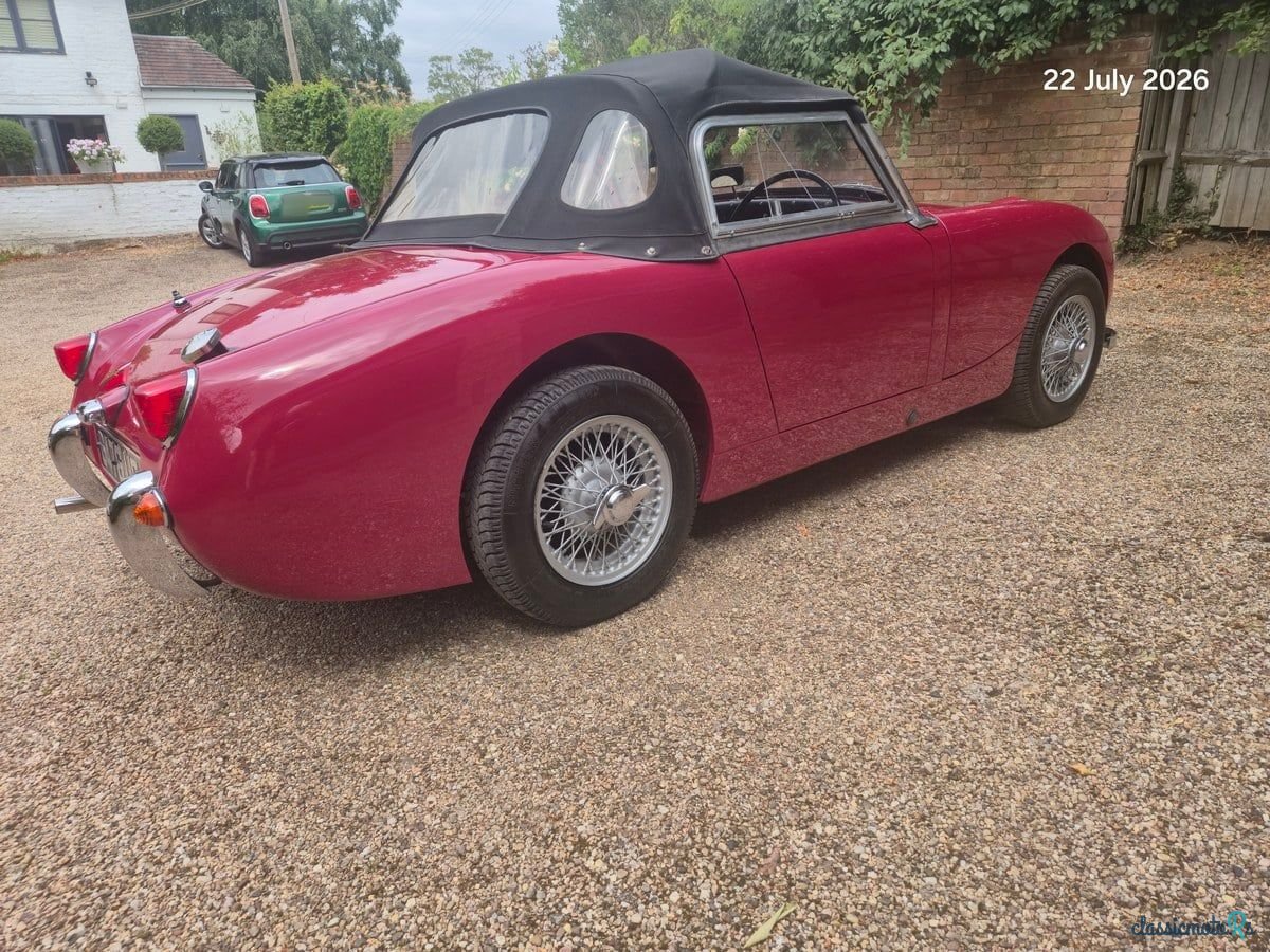 1960' Austin-Healey Sprite photo #5
